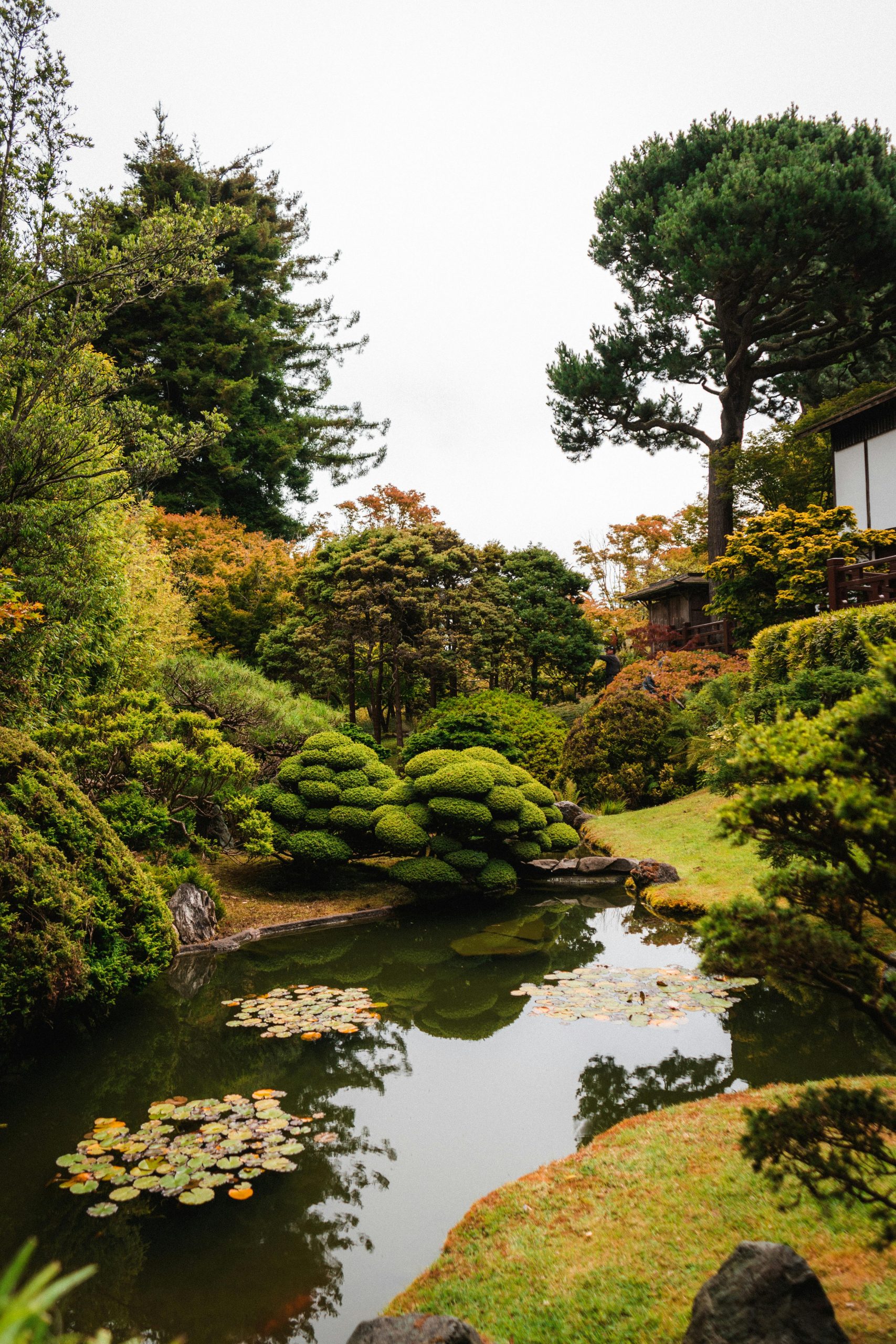 Harga Pembuatan Taman Dan Kolam