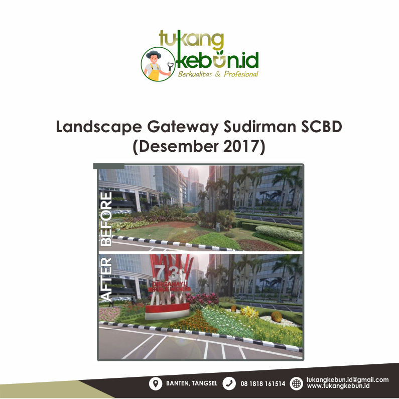 Harga Jasa Landscape Per m2