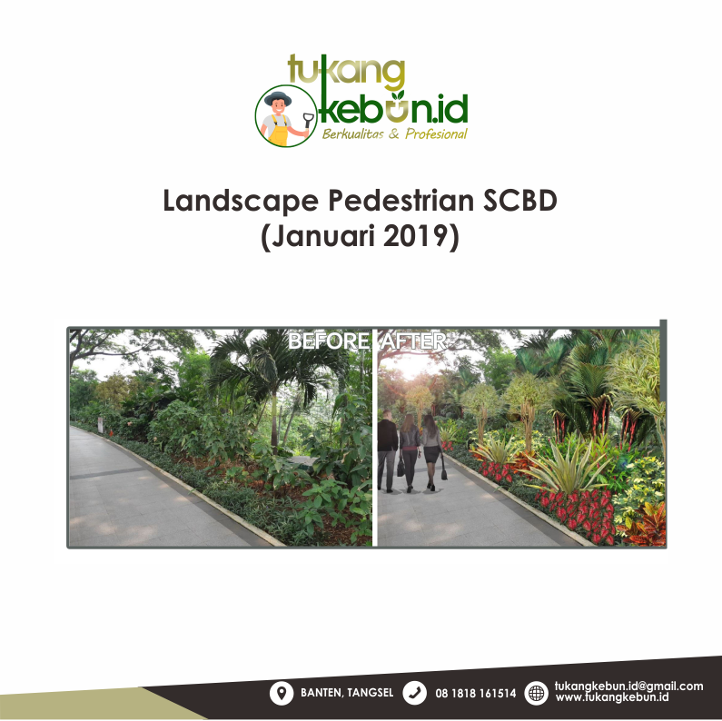 jasa landscape Bekasi